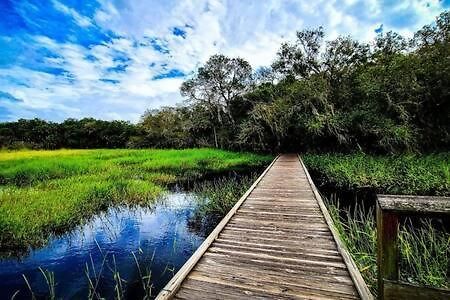 Вилла Florida Retreat Nr Lakewood Ranch Sports Campus Брадентон Экстерьер фото